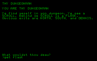 Thy Dungeonman Screenshot